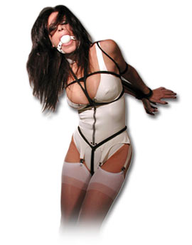 Ashley Renee bondage pictures, bondage videos, bondage blog, stockings, fetish, breast bondage, ballgag, latex, Ashley Renee